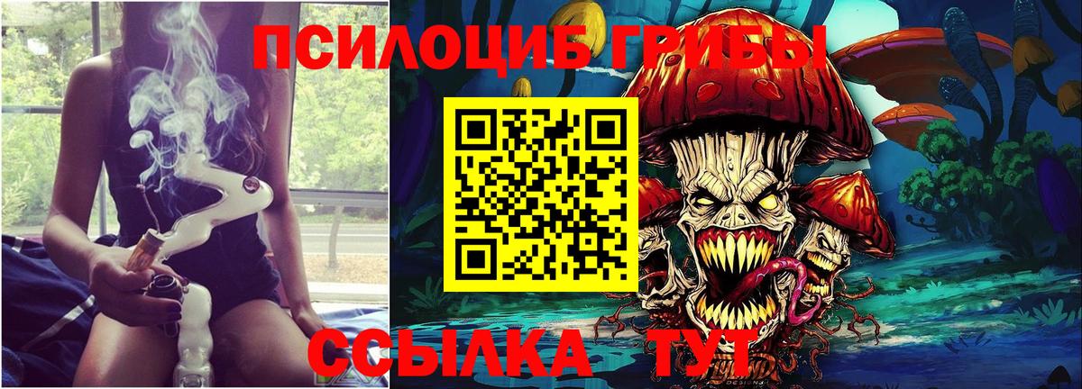 Волгоград  Псилоцибиновые грибы ЛСД  Вход с VPN 