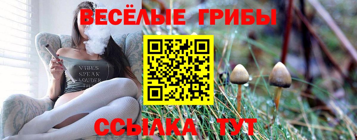 Псилоцибиновые грибы GOLDEN TEACHER Волгоград